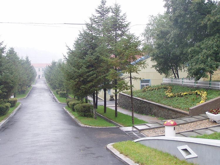 康復(fù)路.jpg